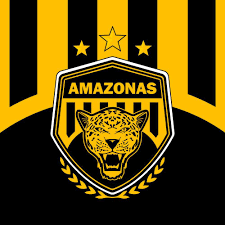 Torcida do Amazonas FC (imagem ilustrativa)